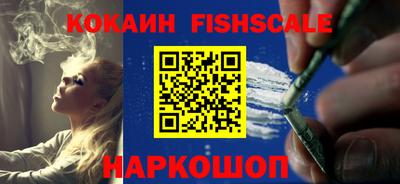 шишки Партизанск