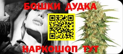гашик Пыть-Ях