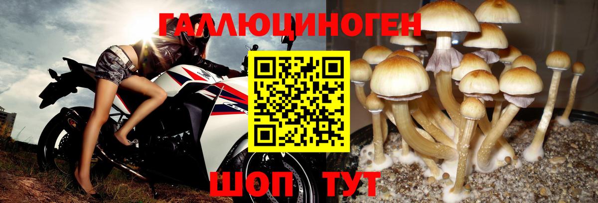 Псилоцибиновые грибы Magic Shrooms Полевской
